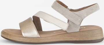 GABOR Sandals in Beige