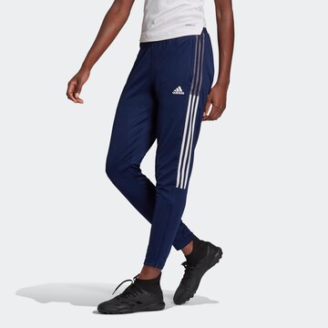 ADIDAS SPORTSWEAR Tapered Sporthose 'Tiro 21 ' in Blau: predná strana