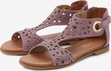 LASCANA T-Bar Sandals in Purple