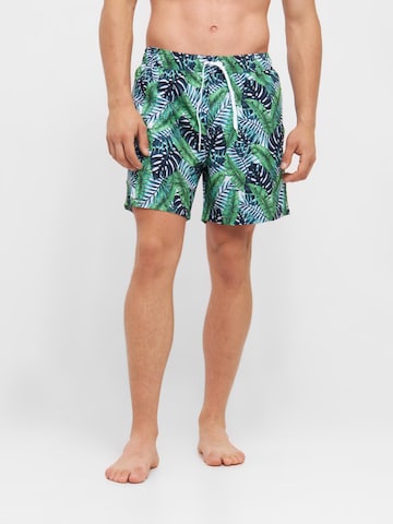 TOOche Board Shorts 'Lugano' in Green: front