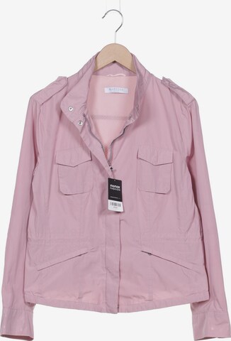 Marella Jacket & Coat in XL in Pink: front