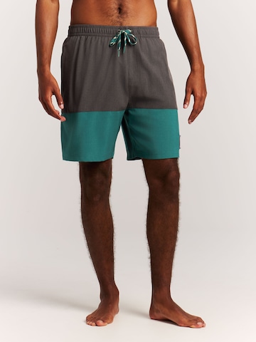 PROTEST Board Shorts 'Cabus' in Green: front