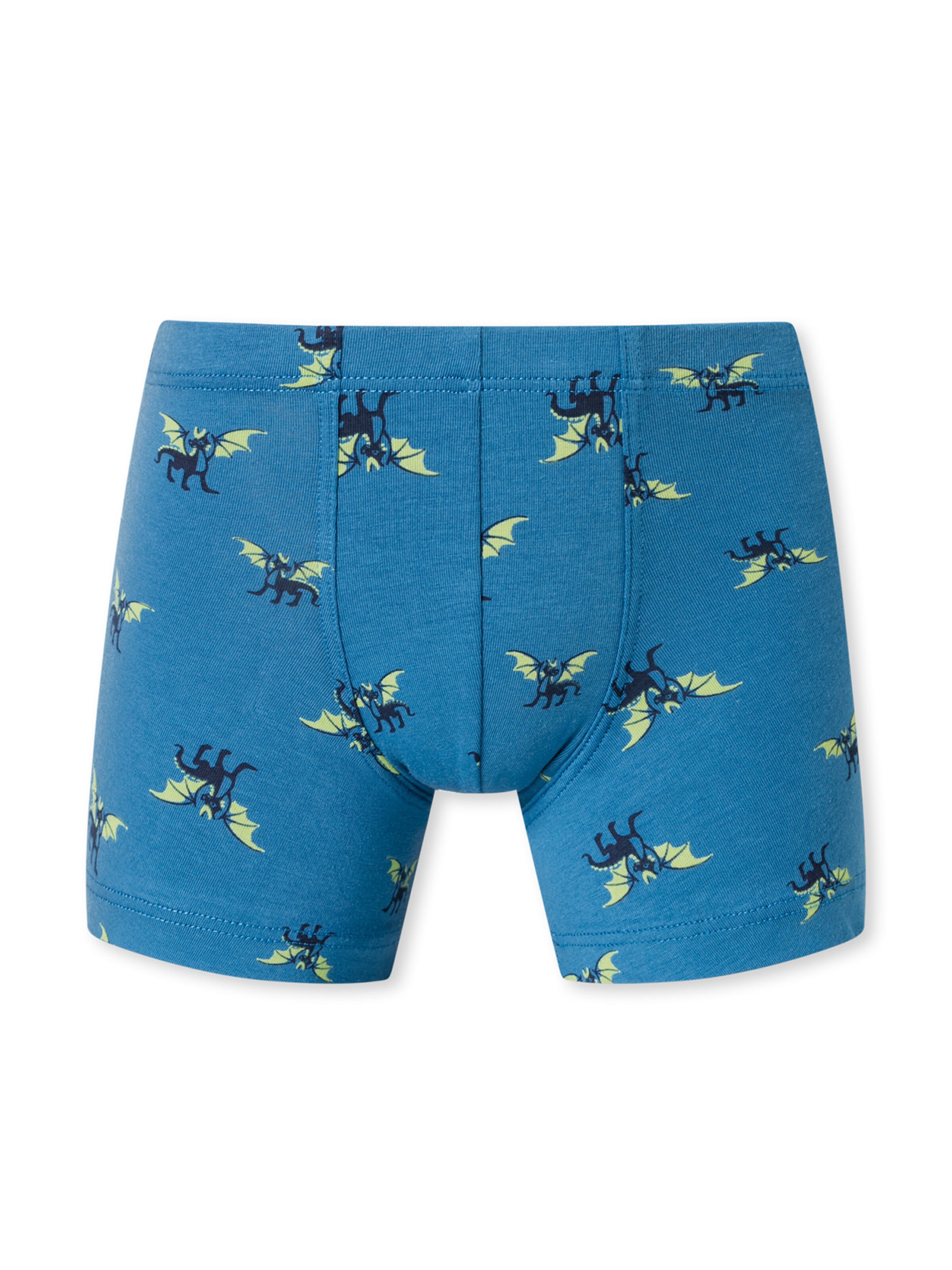 SCHIESSER Underpants ' 95/5 Organic Cotton ' in Blue