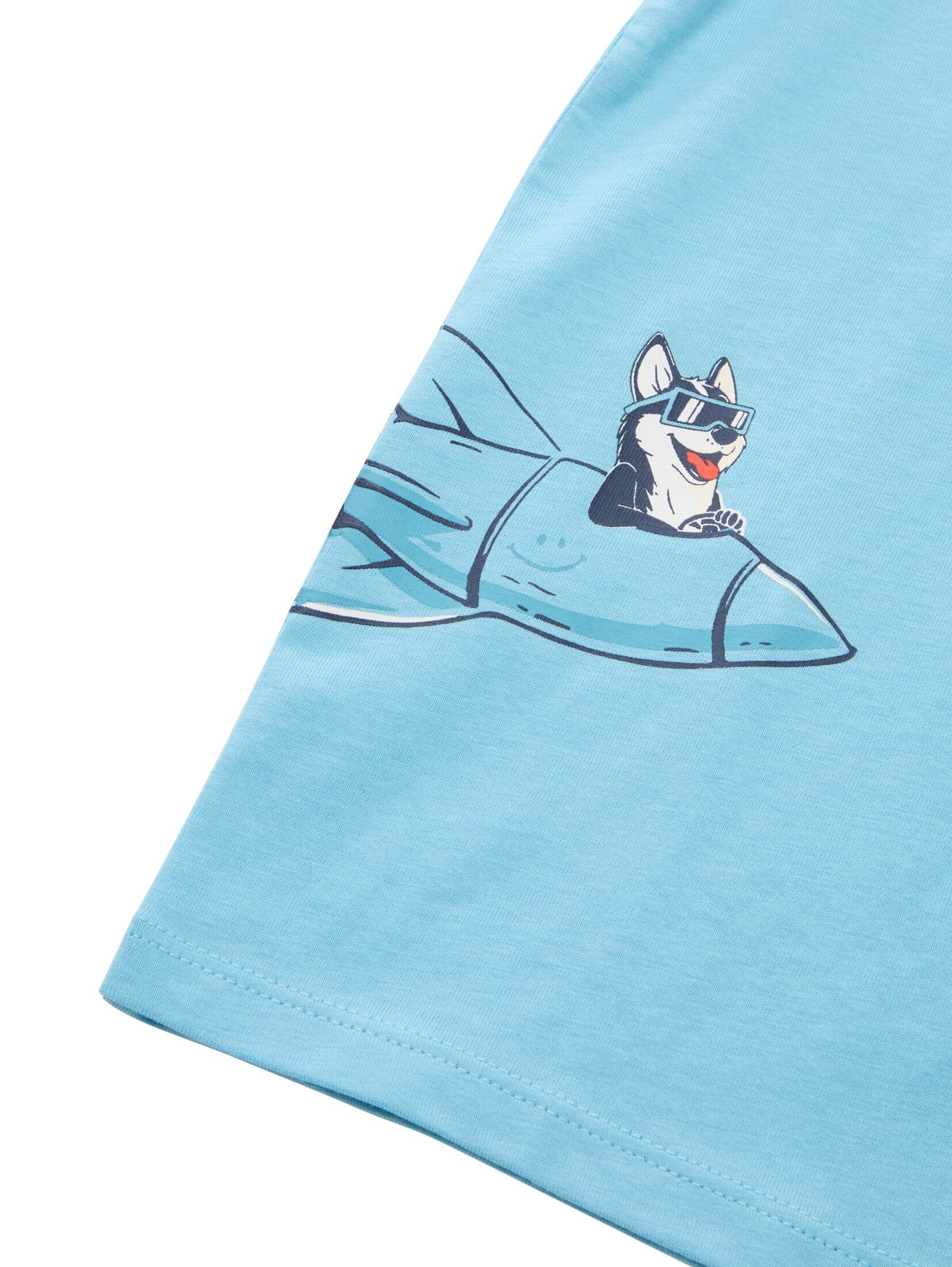 TOM TAILOR Shirt in Blue