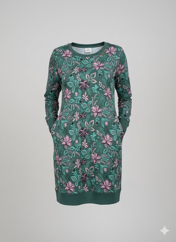 Ragwear Dress in Green