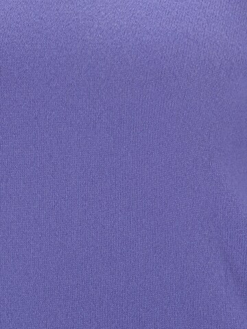 UNITED COLORS OF BENETTON Sweater in Purple