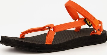 TEVA Hiking Sandals in Orange: front