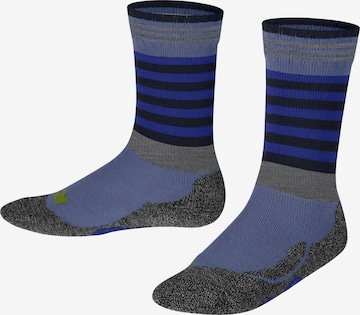 FALKE Socks 'Active Frog' in Blue: front