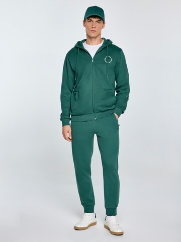 BIG STAR Tapered Trousers 'Kersyn' in Green