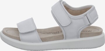Westland Sandals 'Albi 01' in White: front