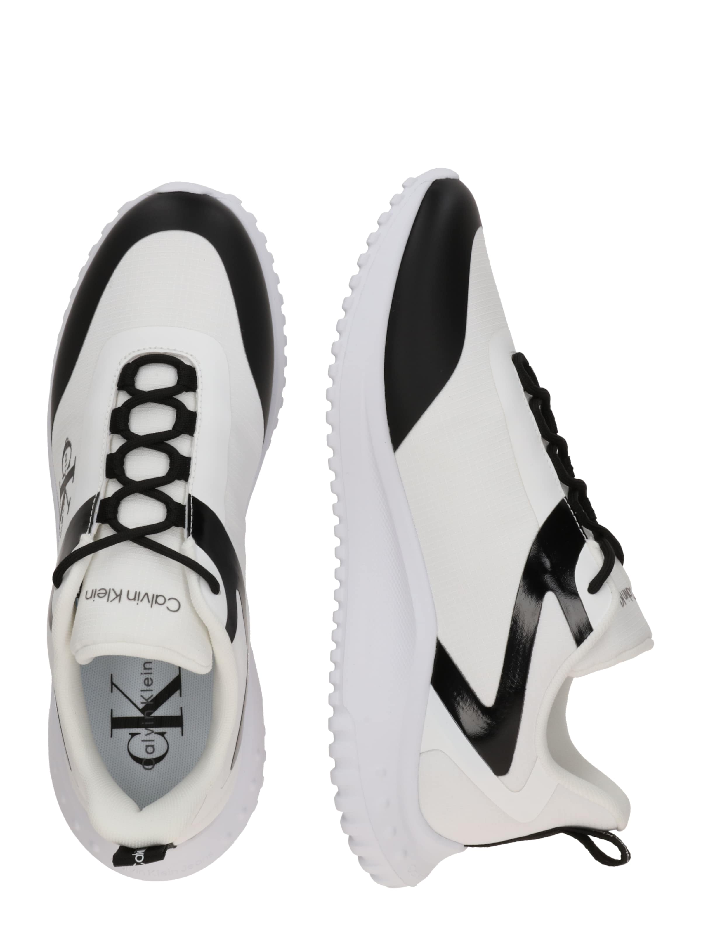 Baskets basses Calvin Klein en blanc