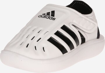 Claquettes / Tongs ADIDAS SPORTSWEAR en blanc : devant