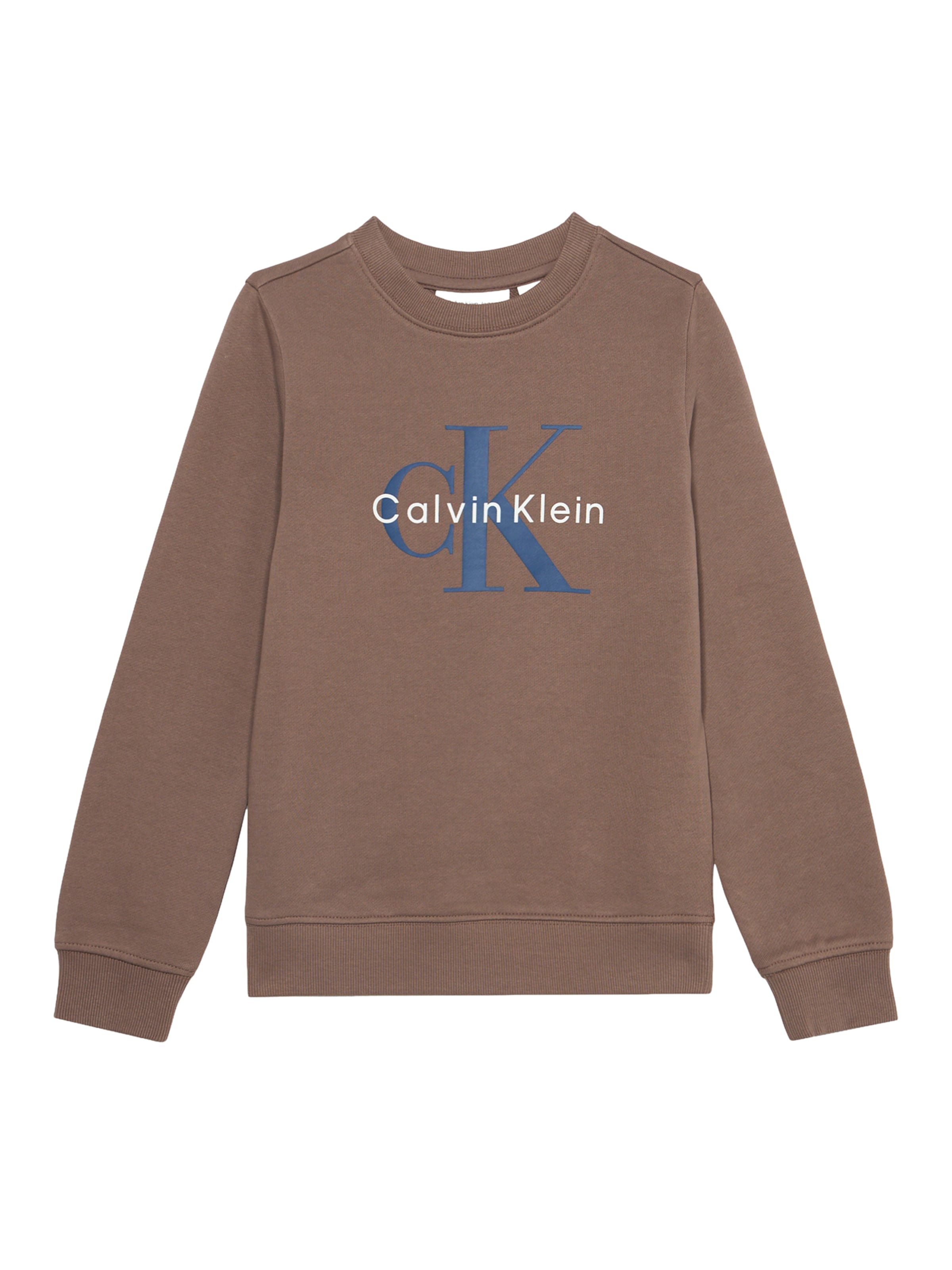Calvin Klein Jeans - Sudadera en gris: frente