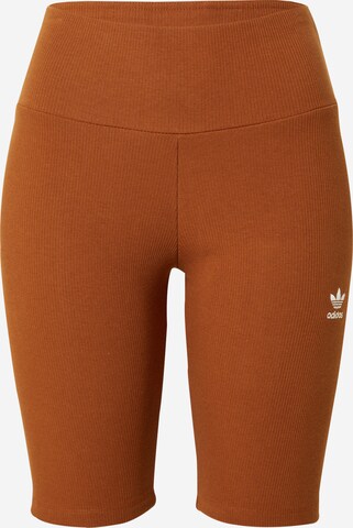 ADIDAS ORIGINALS Skinny Shorts 'Rib' in Braun: predná strana