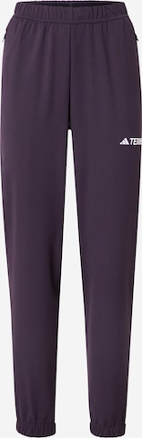 ADIDAS TERREX Спортивные штаны в Черный: спереди