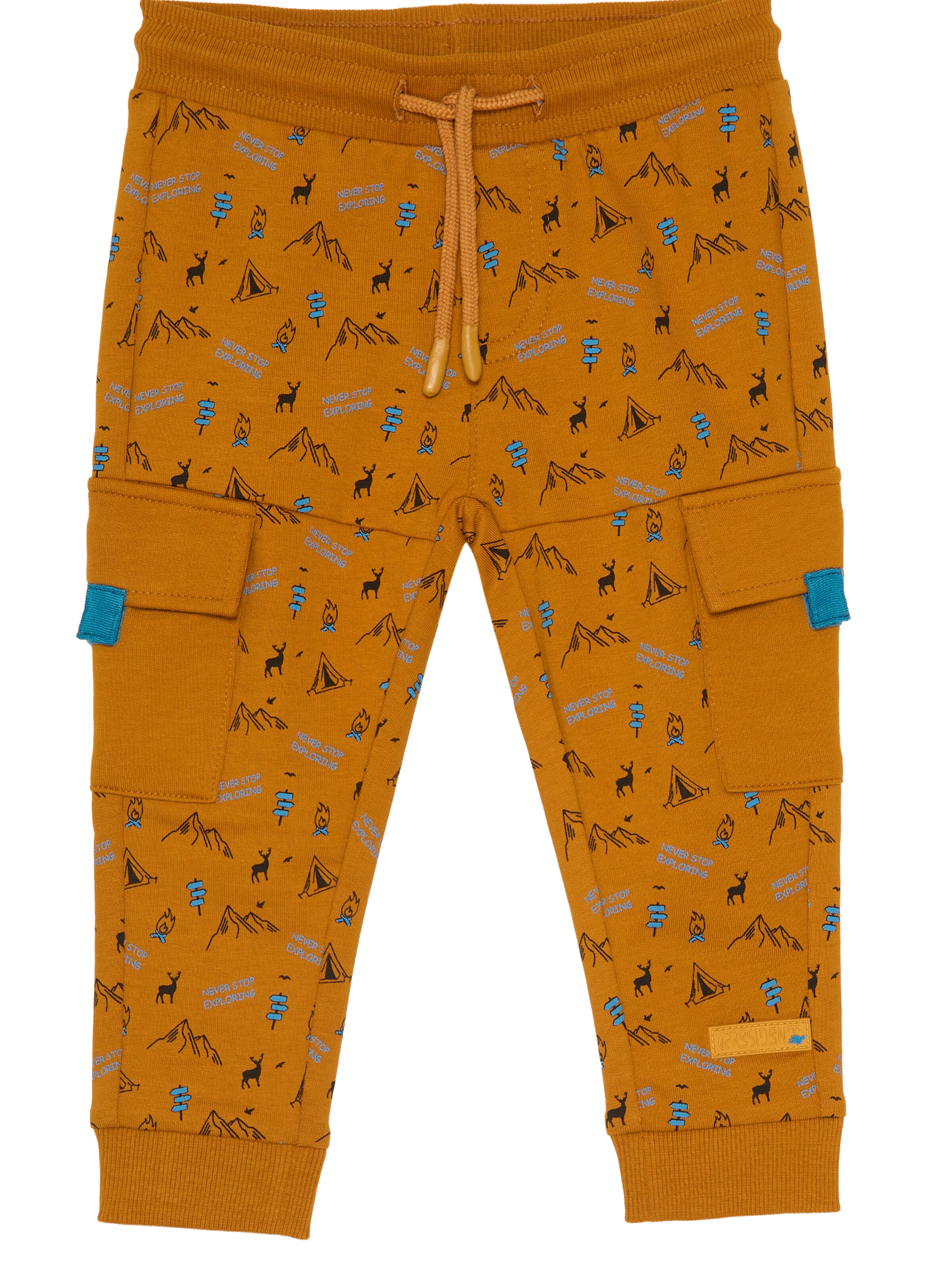 4PRESIDENT Regular Pants 'Bas' in Orange: front