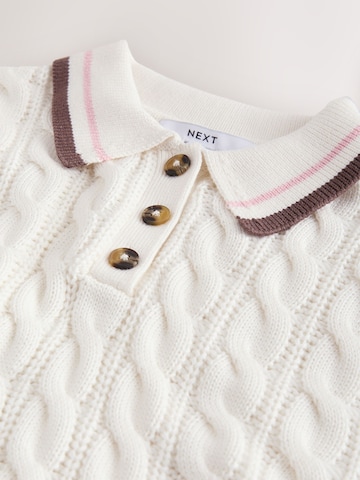 Next Pullover in Beige