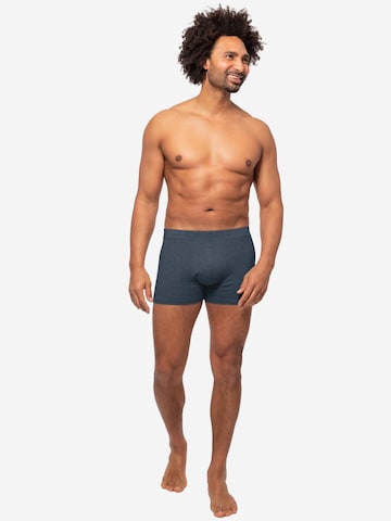 Almonu Boxershorts 'Cotton - Melange' in Blauw