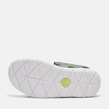 TIMBERLAND Sandals & Slippers in Green