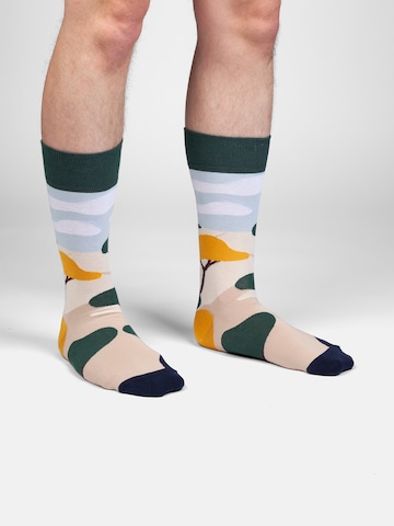 DillySocks Sokken 'Prairie Diary' in Gemengde kleuren