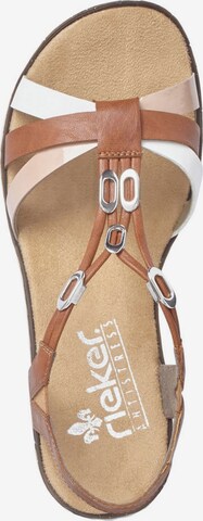 Rieker Sandal in Brown