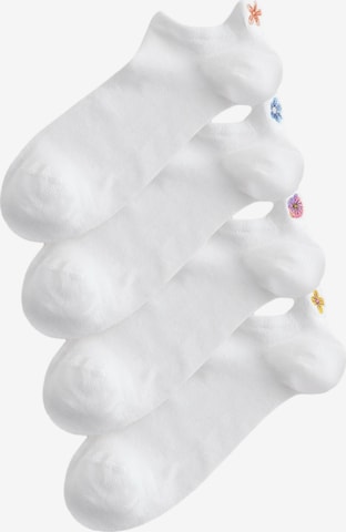 NextStopalice - miks boja boja: prednji dio