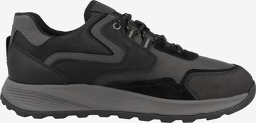 GEOX Sneaker low 'U Terrestre A' in Grau