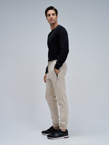 Salsa Jeans Slimfit Broek in Beige