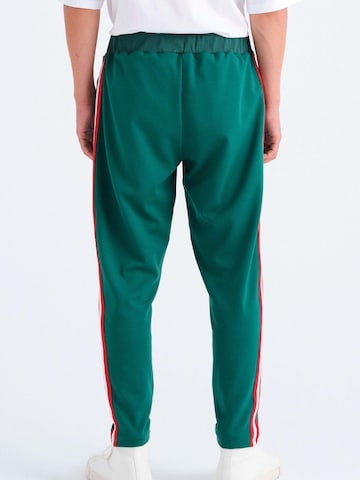 Rockupy Regular Workout Pants 'Squib' in Green