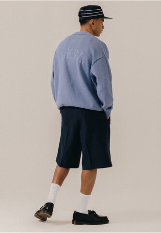BLKVIS Wide leg Pleat-Front Pants in Blue