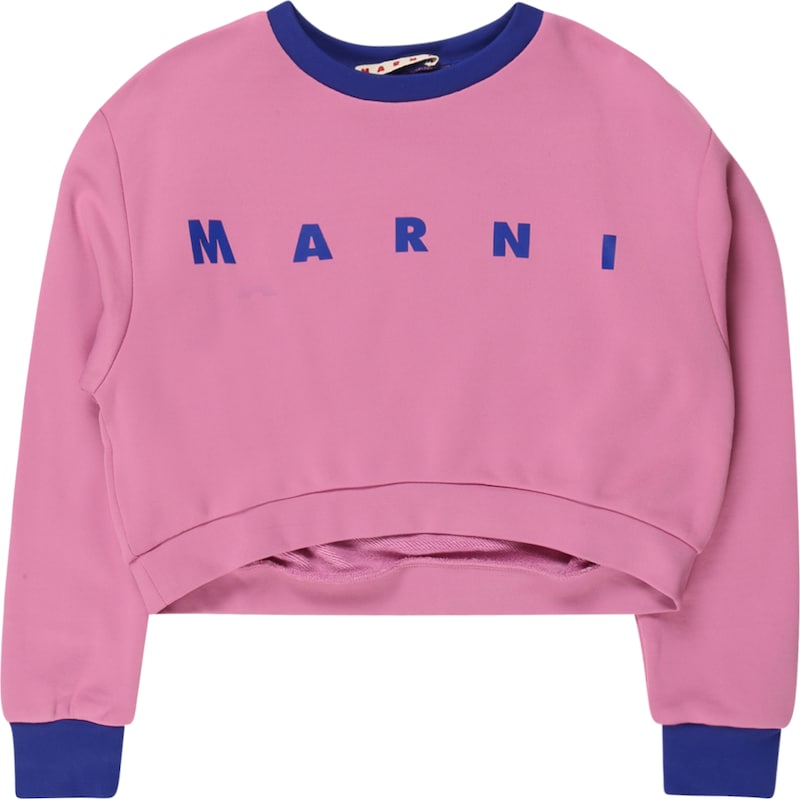 Marni Sweatshirt in Pink