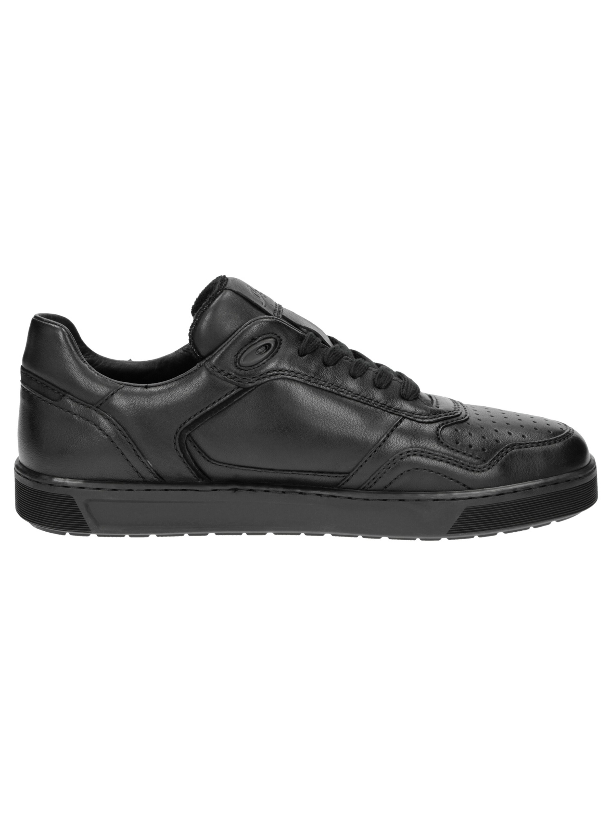 Baskets basses ' Tedroso-704 ' SIOUX en noir