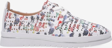 VENEZIA Sneaker low 'Venezia' in Mischfarben: Vorderseite