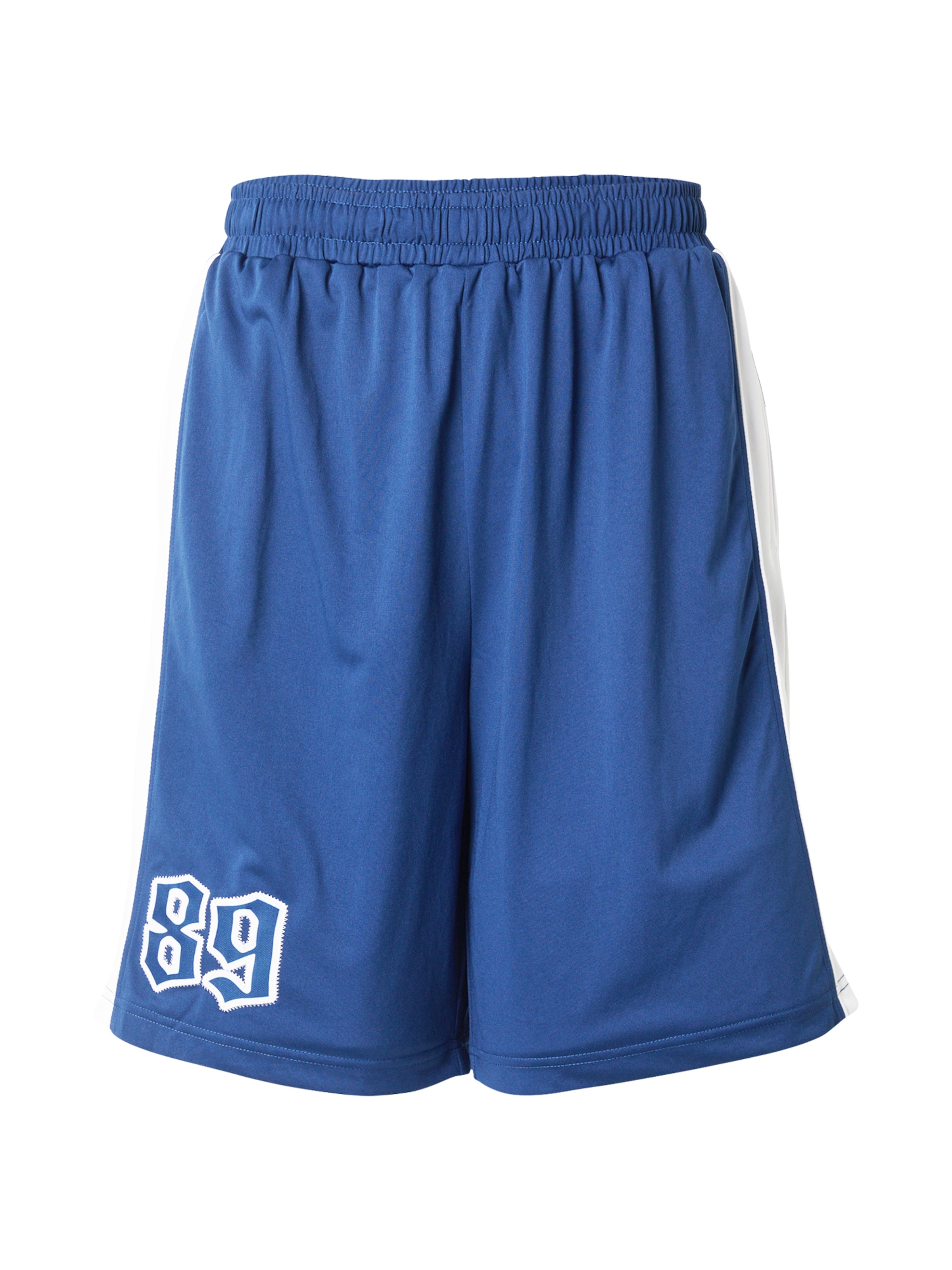 Karl Kani Loose fit Pants in Blue: front