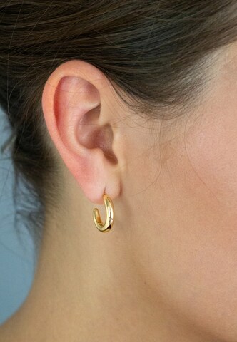 Nana Kay Earrings 'Solid Flair' in Gold