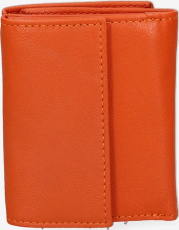 Sergio Valentini Portemonnaie in Orange: Vorderseite
