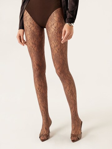 CALZEDONIA Tights in Brown: front