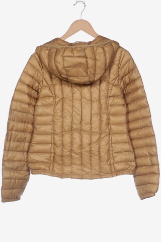 Stefanel Jacket & Coat in XS in Brown