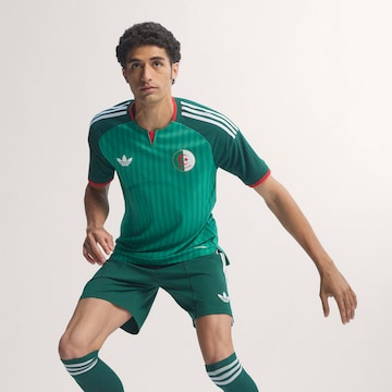 ADIDAS PERFORMANCE Tricot 'Algeria 26 Away Authentic' in Groen