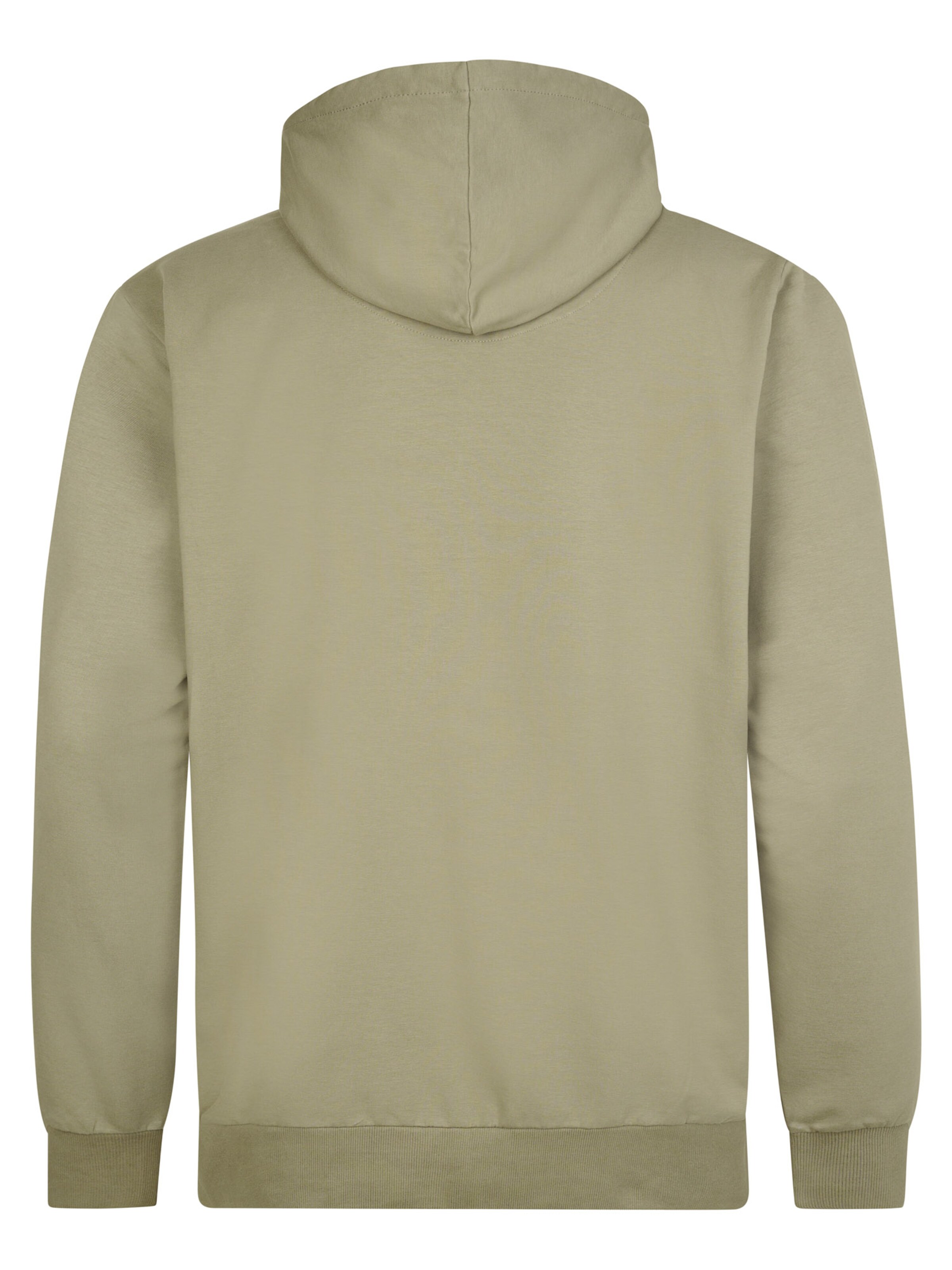 Petrol Industries Sweatshirt in Green