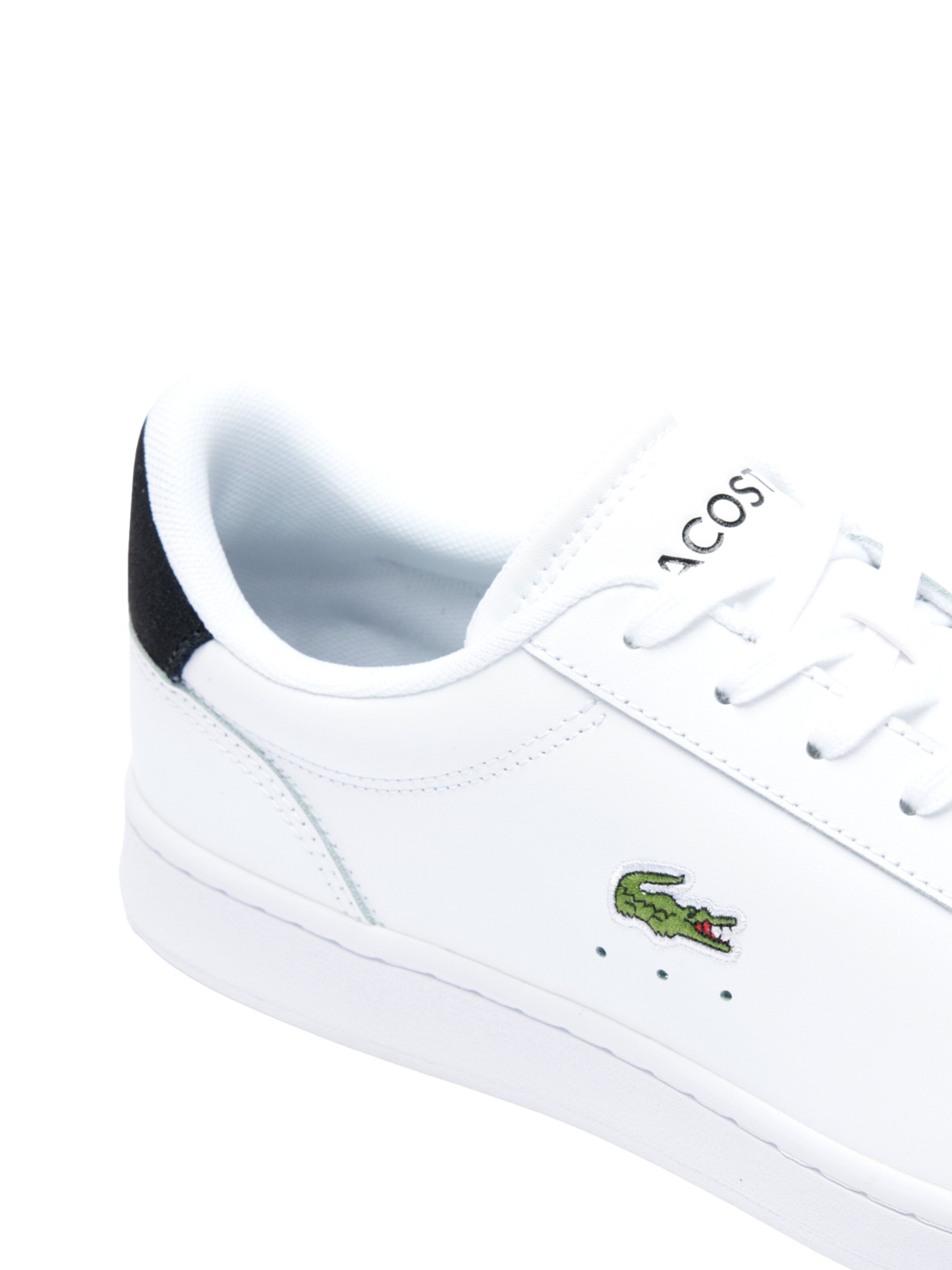 LACOSTE Sneaker low 'Carnaby Set' i hvid