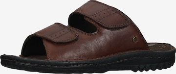 HUSH PUPPIES Muiltjes in Bruin: voorkant