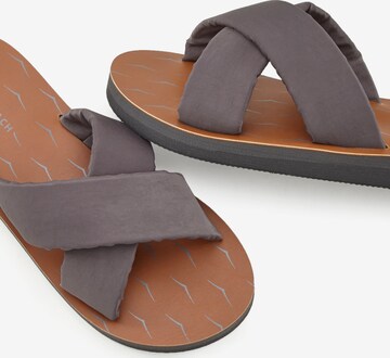 pilka VENICE BEACH Sandalai / maudymosi batai