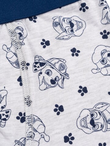 Paw Patrol Underpants in Mixed colours