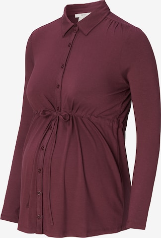 Esprit Maternity Bluse in Lila: predná strana