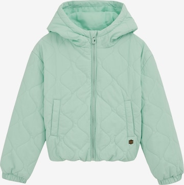 žalia WE Fashion Demisezoninė striukė: priekis