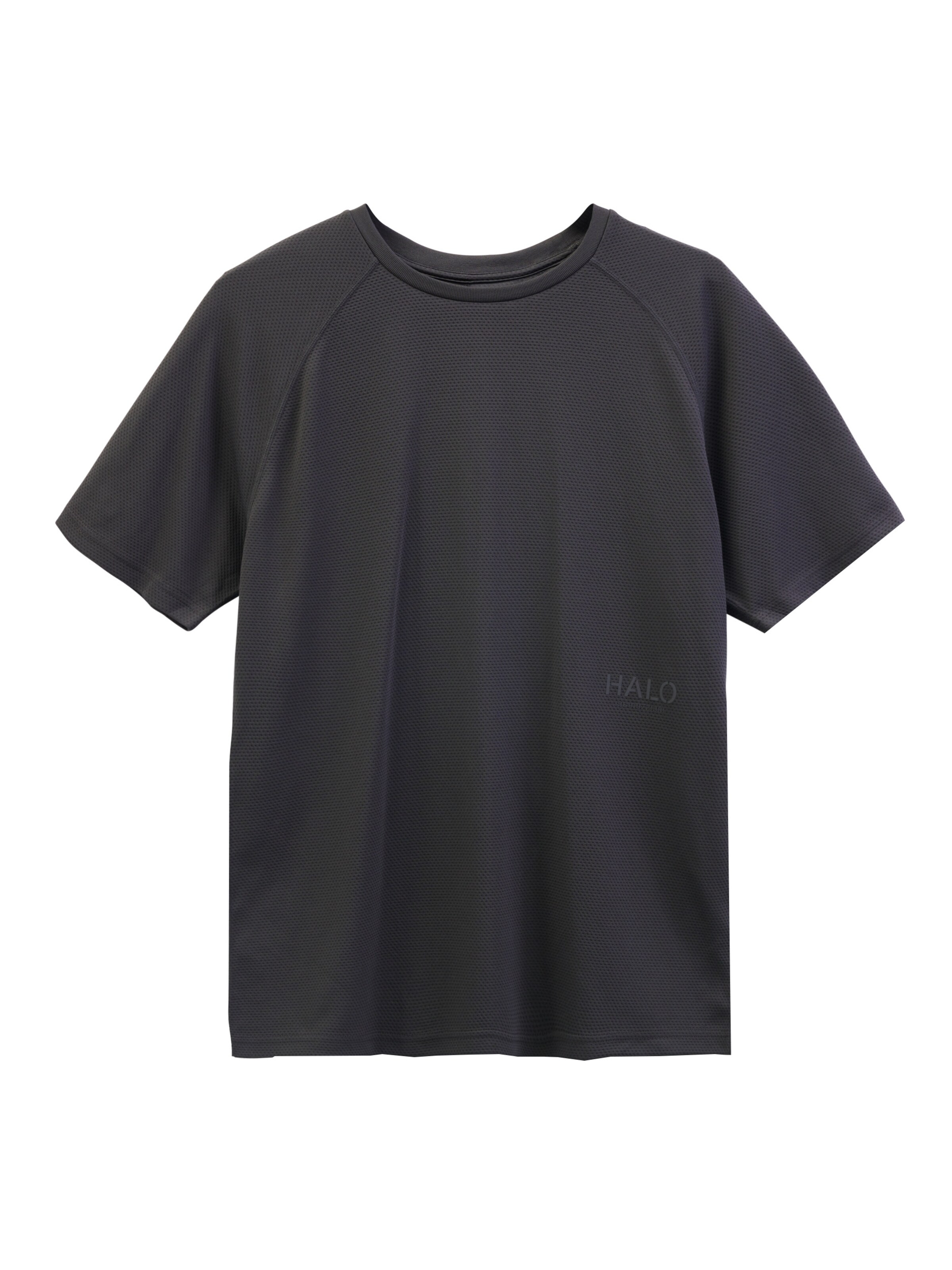 HALO T-Shirt in Grau: Vorderseite