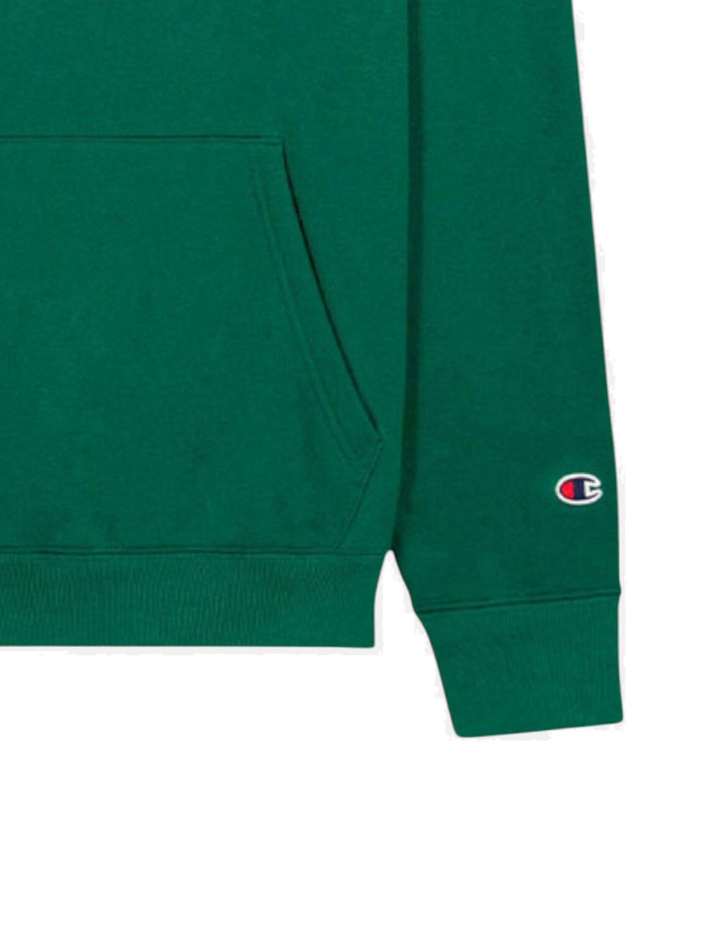 Champion Sweatshirt in Green