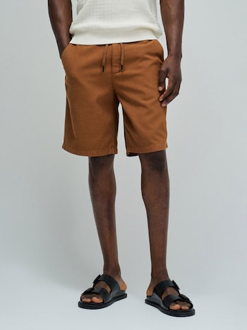 Salsa Jeans Regular Jeans in Brown: front