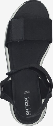 GEOX Sandals in Black